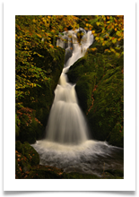 Chris Beesley - Wet 1 - Chris Beesley Chris Beesley - Wet 1 - Chris Beesley
